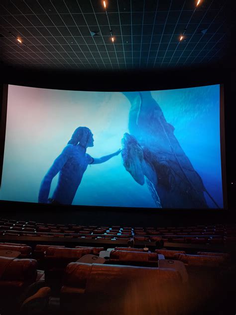 The Beauty of Magid Flite's IMAX: A Feast for the Eyes